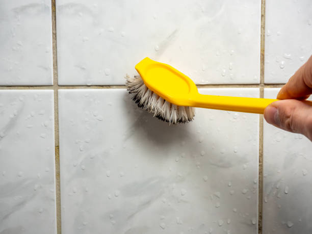 Best Fast Mold Removal  in Dillon, CO