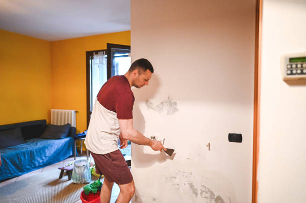 Best Commercial Mold Removal  in Dillon, CO